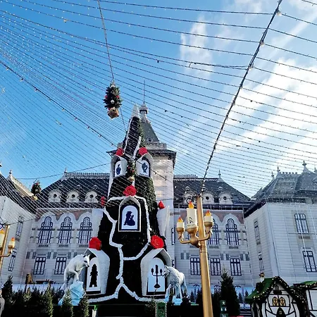 Doua Centru Vechi - Parcare Privata Gratuita La Minimum 3 Nopti!! Free Private Parking For Minimum 3 Nights