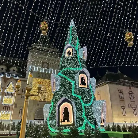 Doua Centru Vechi - Parcare Privata Gratuita La Minimum 3 Nopti!! Free Private Parking For Minimum 3 Nights Apartment *