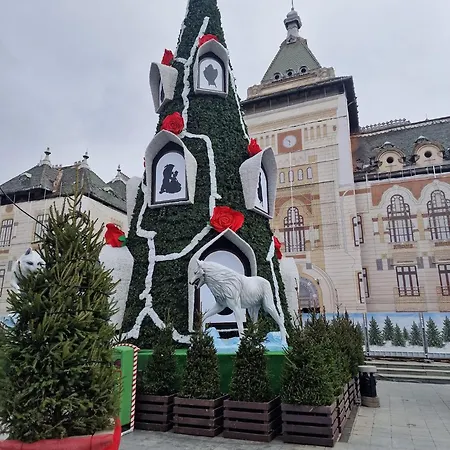 Apartment Doua Centru Vechi - Parcare Privata Gratuita La Minimum 3 Nopti!! Free Private Parking For Minimum 3 Nights *