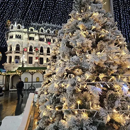 Apartment Doua Centru Vechi - Parcare Privata Gratuita La Minimum 3 Nopti!! Free Private Parking For Minimum 3 Nights