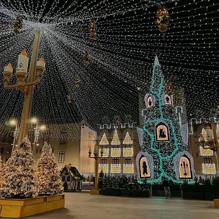 Doua Centru Vechi - Parcare Privata Gratuita La Minimum 3 Nopti!! Free Private Parking For Minimum 3 Nights Apartment