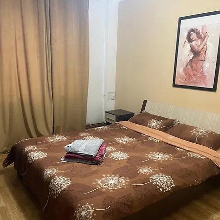 Doua Centru Vechi - Parcare Privata Gratuita La Minimum 3 Nopti!! Free Private Parking For Minimum 3 Nights Apartment *