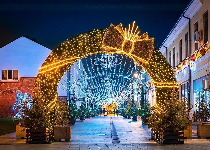 Doua Centru Vechi - Parcare Privata Gratuita La Minimum 3 Nopti!! Free Private Parking For Minimum 3 Nights *