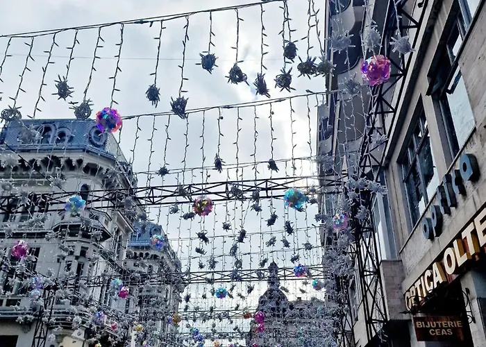 Doua Centru Vechi - Parcare Privata Gratuita La Minimum 3 Nopti!! Free Private Parking For Minimum 3 Nights Апартаменты