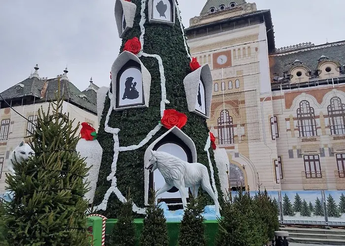 Апартаменты Doua Centru Vechi - Parcare Privata Gratuita La Minimum 3 Nopti!! Free Private Parking For Minimum 3 Nights *