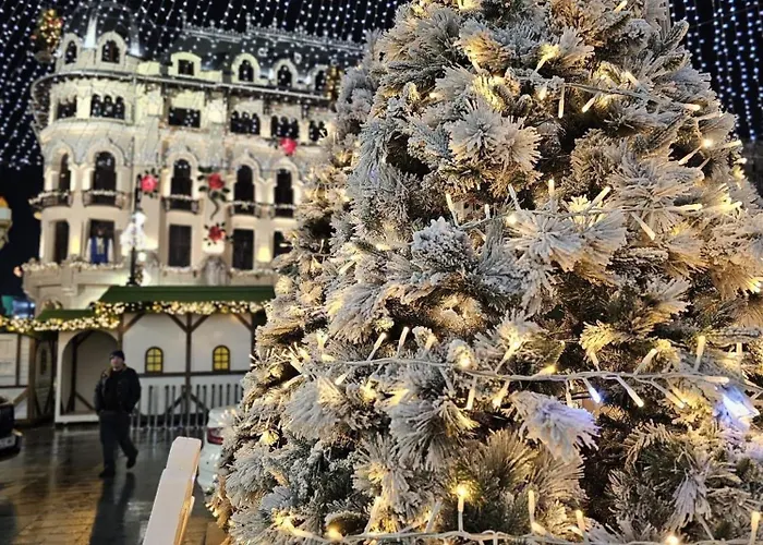 Апартаменты Doua Centru Vechi - Parcare Privata Gratuita La Minimum 3 Nopti!! Free Private Parking For Minimum 3 Nights