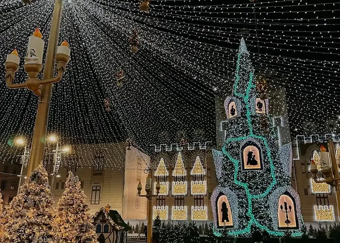 Doua Centru Vechi - Parcare Privata Gratuita La Minimum 3 Nopti!! Free Private Parking For Minimum 3 Nights Апартаменты